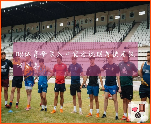 ng体育登录入口官方说明与使用技巧分享