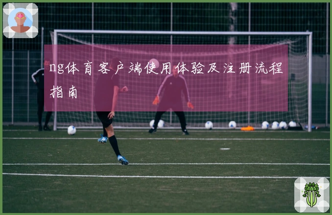 ng体育客户端使用体验及注册流程指南