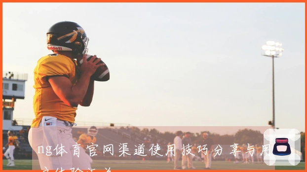 ng体育官网渠道使用技巧分享与用户体验汇总